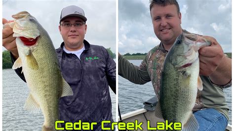 Summertime Bass Fishing On Cedar Creek Lake Youtube