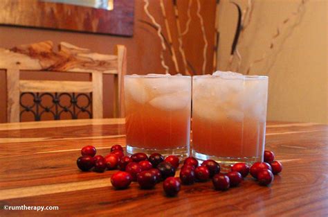 From hot toddies to mulled wine, hot chocolate to eggnog, these are the best hot christmas drinks to these hot christmas drinks are perfect for warming up your festive season. 6 Delicious Winter Holiday Cocktails Featuring Organic Spirits