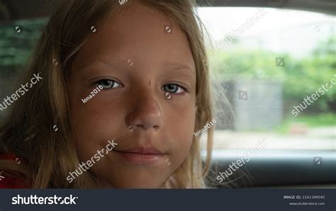 Nose On Car Window Images Browse 862 Stock Photos And Vectors Free