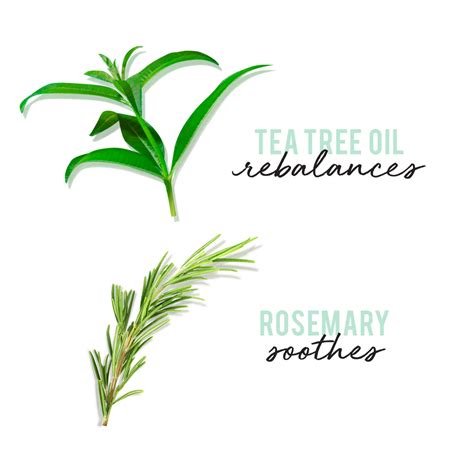 So how does it work? Tea Tree Oil & Rosemary Hair & Scalp Treatment Mask - HASK