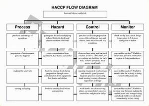 Haccp Templates Free Of 28 Of Haccp Plan Template