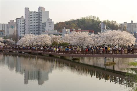 April in Gwangju - Gwangju News Online