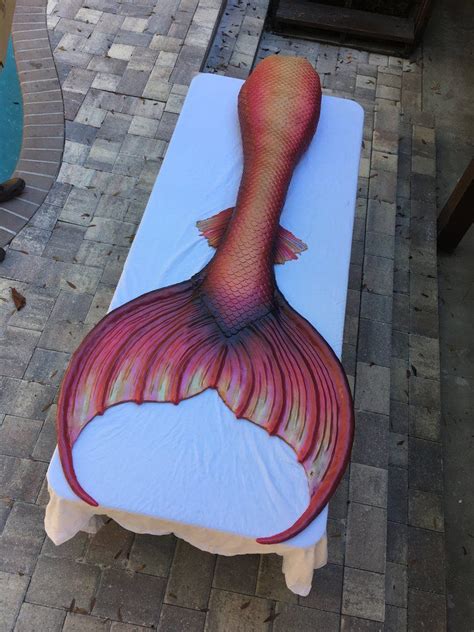 Signature Line — Mernation Inc Realistic Mermaid Tails Little