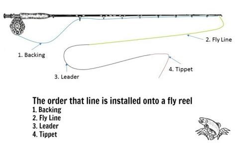 What Is A Fly Fishing Leader And Tippet Guide Recommended
