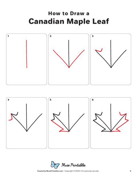 How To Draw A Canadian Maple Leaf At How To Draw