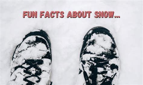 Fun Facts About Snow