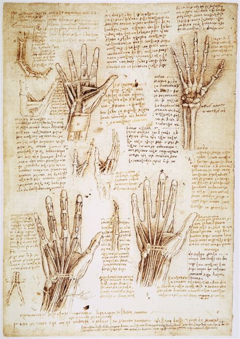 Leonardo Hands C1510 Npen And Ink Studies By Leonardo Da Vinci