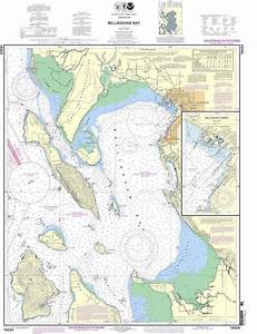 Bellingham Bay Nautical Chart Likehikes Com
