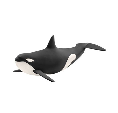 Schleich Killer Whale Orca Mdsc14807 Tates Toys Australia The Best