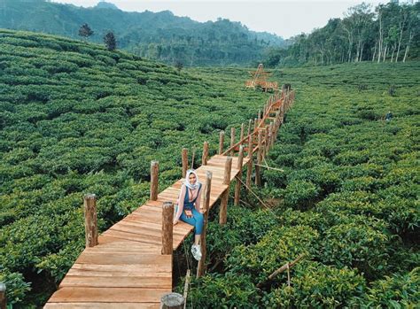 Wisata jember ini merupakan replika mini negri belanda! Tiket Wisata Kebun Agung Jember - Objek wisata keluarga pemandian kebon agung anda cukup ...