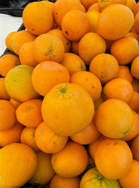 Oranges Navel Etheridge Farms Farmshoppr