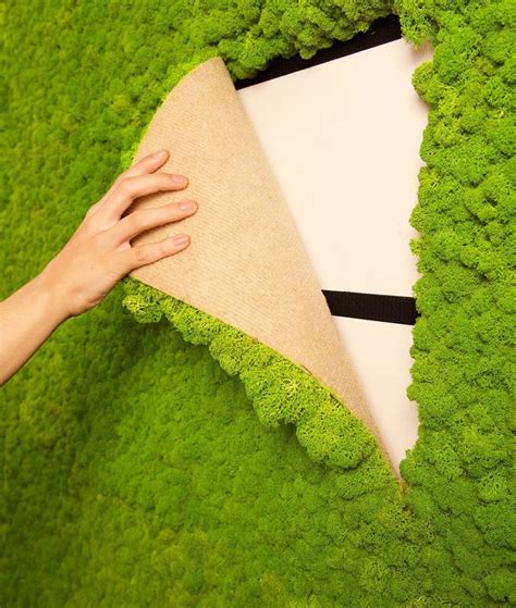 Natural moss for vertical green applications mosswall® is the innovative system for indoor vertical gardens without the need of any maintenance. Indoor Moss Is A Fuss-Free Way To Add A Natural Element To ...