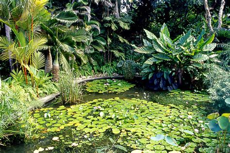 andromeda botanic gardens barbados beautiful gardens tropical islands paradise most