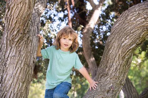 Premium Photo Young Child Blond Boy Climbing Tree Happy Child Playing