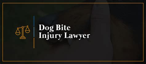 Dog Bite Injury Lawyer Personal Injury Kbg Injury Law