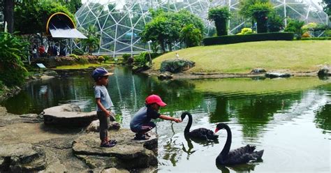 Artikel ini telah tayang ditribunjatim.comdengan judul harga tiket masuk wisata baloga, destinasi baru di kota batu, ada rumah kupu hingga food garden Harga Tiket Masuk Taman Mini Indonesia Indah Juli 2020 ...