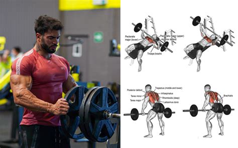 Powerful Chest And Back Superset Routine