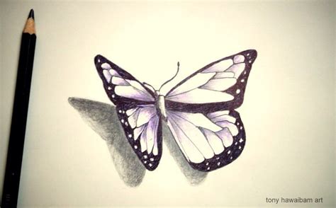 The thorax (middle color pencil pigment is transparent and our butterfly drawing technique takes advantage of this quality by gradually building up the image with. 3D art butterfly Pencil sketch | Sketching,painting ...