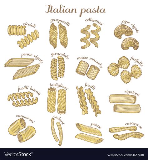 Set Colored Different Pasta Shapes Royalty Free Vector Image