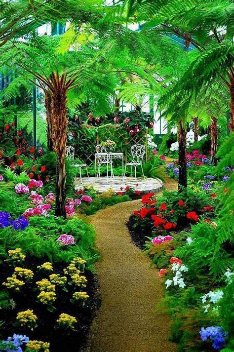 🌴🌴🌴🌴🌴🌴🌴 Beautiful Flowers Garden Gorgeous Gardens Beautiful Gardens