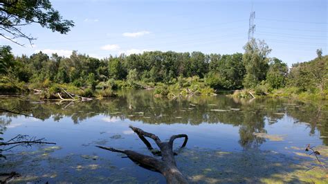 Flüsse Und Seen Lebensraum Fluss Lebensraum Fluss Flüsse Und Seen