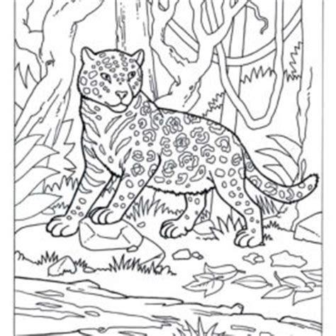 Two art activities one for migrating animals and the other on camouflage. Camouflage Coloring Pages at GetColorings.com | Free ...
