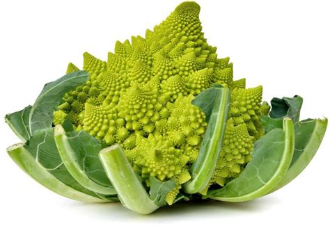 The name of vegetable indicates its origin from the neighborhood of the city of rome. Romanesco koken: tips en recepten - GroenteGroente.nl