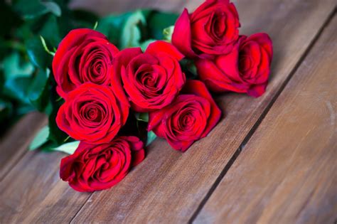 Paling Bagus 15 Setangkai Bunga Mawar Adalah Gambar Bunga Indah