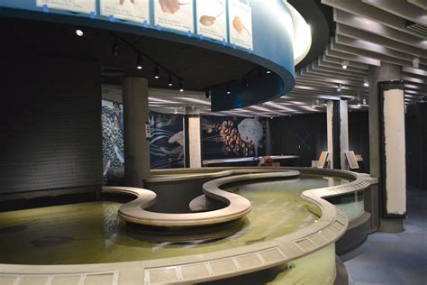 Baltimore National Aquariums Newest Exhibit Living Seashore