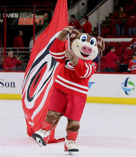 Carolina hurricanes, carolinahurricanes.com and caneshockey.com are trademarks of the carolina hurricanes hockey club. Ranking the NHL's Mascots | Carolina hurricanes, Mascot ...