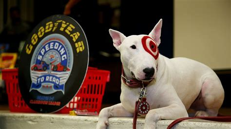 The Truth About Targets Mascot Bullseye