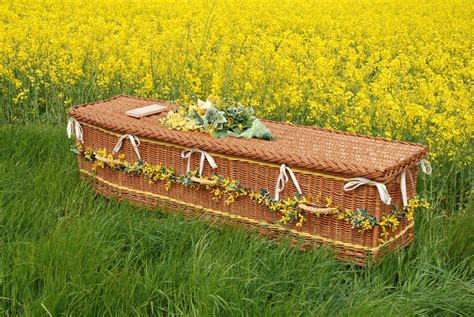 Willow Coffin Somerset Willow Coffin Direct Cremation Coffin