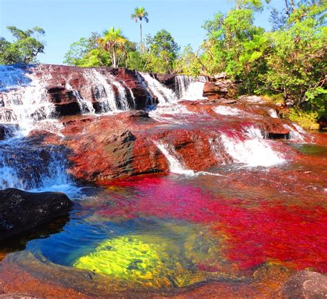 Caño Cristales The River Of Five Colors Colombia Places To See