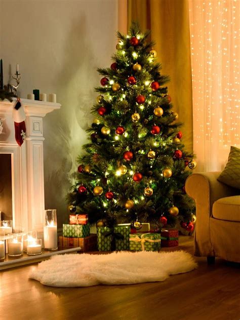 Por Qué Se Arma El árbol De Navidad El 8 De Diciembre Tiempo Fueguino