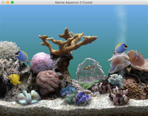 Serene Marine Aquarium Screensaver Kurtjournal