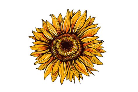 Sunflower Sublimation Design And Svg For Thanksgiving