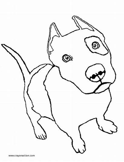 Pit Bull Coloring Pages Drawings Drawing Puppy