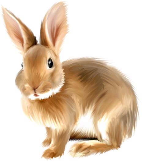 Angora Rabbit Clip Art Painted Bunny Clipartpng Png Download 600