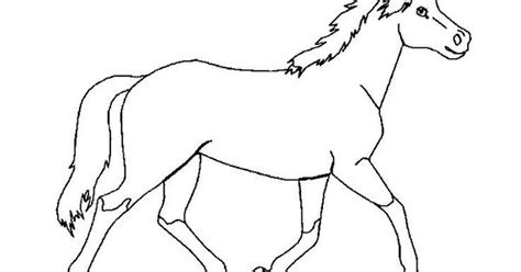 Kleurplaat Paarden Sneeuw Kleurplaat Dressuur Wedstrijd Paard Horse