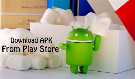 How To Download Apk From Play Store Working Methods Trick Xpert