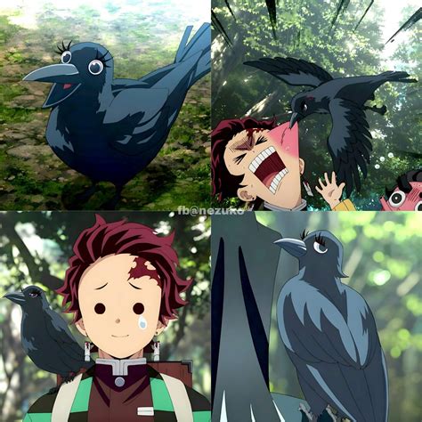 Muichiros Crow Is Named Ginko I Love The Eyelashes 😍 Rkimetsunoyaiba