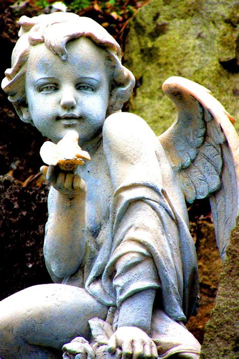 Cherub Statue Cemetery Angels Cemetery Art Fairy Angel Angel Art