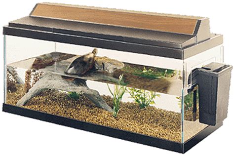 Check spelling or type a new query. paint: Painted Turtle Indoor Habitat