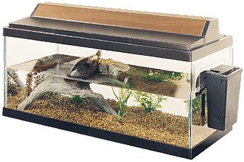 The right size ensures that the turtle feels secure and grows right. paint: Painted Turtle Indoor Habitat
