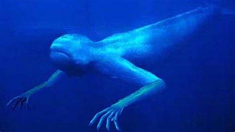 Scary Deep Sea Creatures