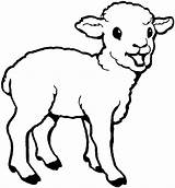 Sheep Coloring Printable Cute Lamb Children Template Animal sketch template