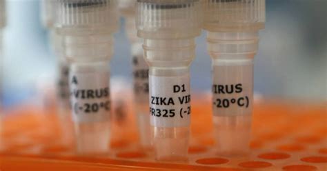 Cdc Reports 14 New Cases Of Sexually Transmitted Zika In Us
