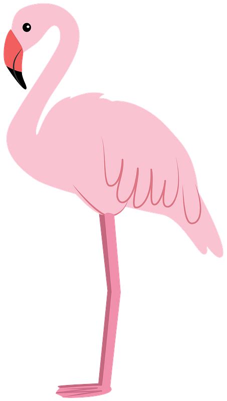 Flamingo Clipart Free Download Transparent Png Creazilla