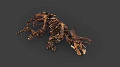 Triceratops Horridus Marsh Download Free 3d Model By The Smithsonian Institution Smithsonian
