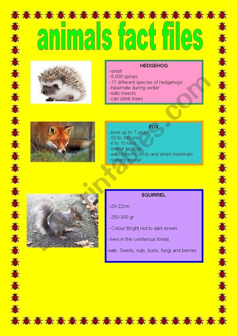 Wildlife Fact File Cards Complete Set Noredalert